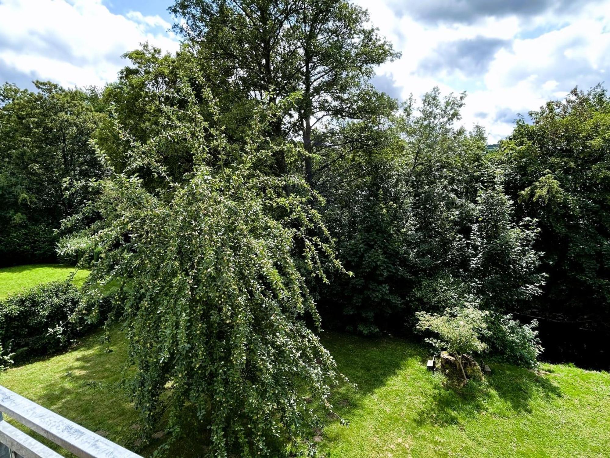 Ferienwohnung Sauerland An Der Ruhr Olsberg Exterior photo